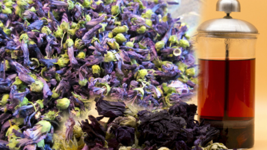 Hatmi çiçeğinin (Hibiskus) faydaları nelerdir? Hatmi çiçeği (Hibiskus) hangi hastalıklara iyi gelir?