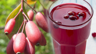 Karamuk bitkisinin faydaları nelerdir? Karamuk bitkisinden çay nasıl yapılır?