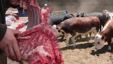 Kurban Bayramında artan hastalıklar nelerdir? Kronik hastalığı olanlar dikkat!