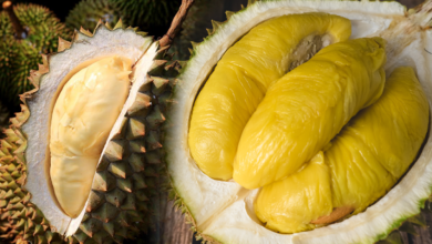 Durian meyvesinin faydaları nelerdir? Durian hangi hastalıklara iyi gelir? Durian nasıl tüketilir?